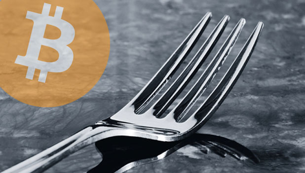 ¿Qué son los forks (birfurcaciones)?