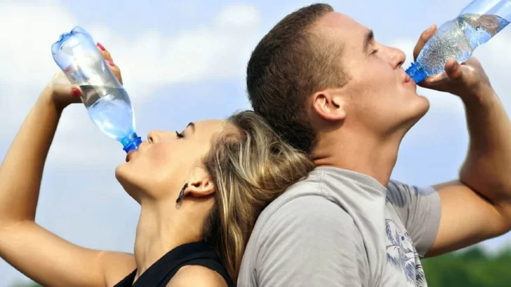 Harvard avisa: cuáles son las dos bebidas más saludables sin contar al agua