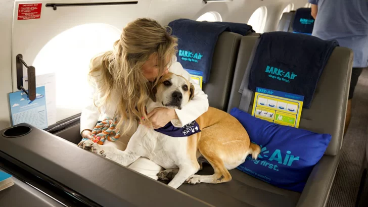  BARK Air, el primer vuelo exclusivo para perros 