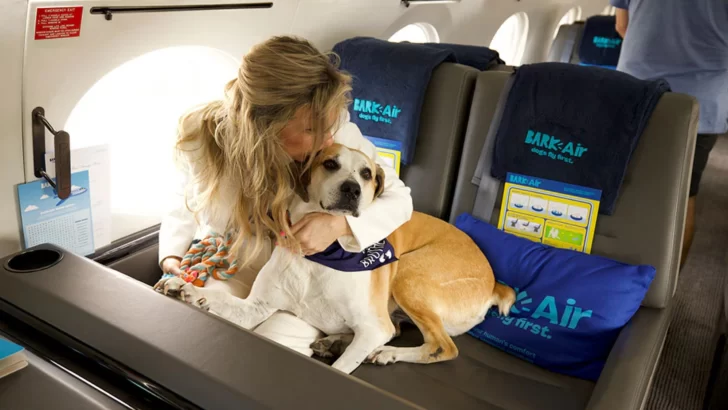 BARK Air, el primer vuelo exclusivo para perros