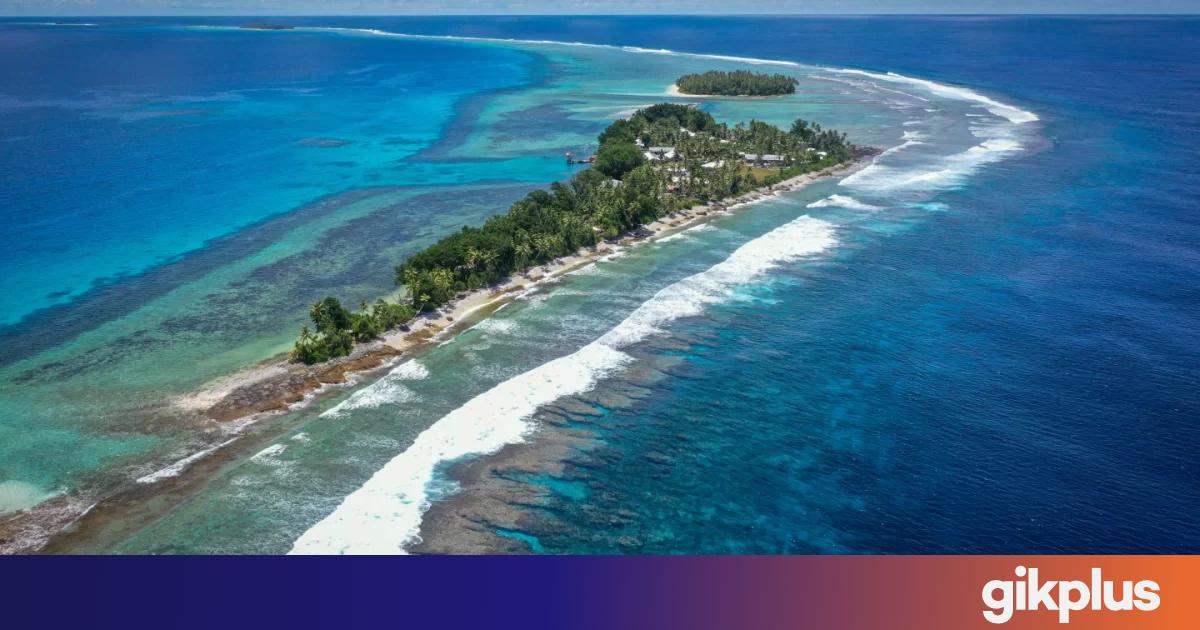 Isla Rivas Isla planea construir una versión digital de sí misma para preservar su ...