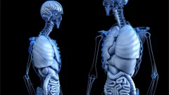 Robot capaz de crecer y llegar a partes del cuerpo de difícil acceso
