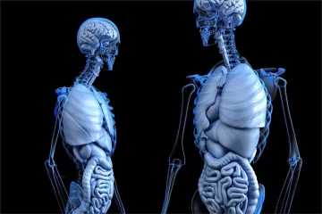 Robot capaz de crecer y llegar a partes del cuerpo de difícil acceso