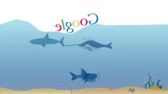 Qué es Google Gravity Water y cómo utilizarlo: todo lo que los dominicanos deben saber