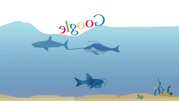 Qué es Google Gravity Water y cómo utilizarlo: todo lo que los dominicanos deben saber