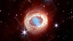 Un increíble hallazgo: cómo un agujero negro se come una estrella
