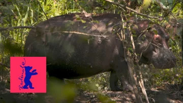 “Pepe” primera película dominicana en la competición oficial de Berlinale
