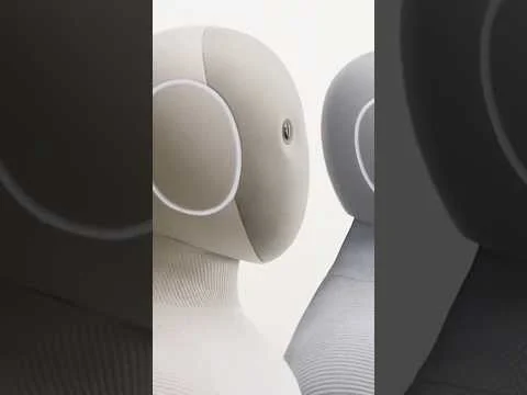 China lanza robots baratos que sorprenden al mundo China lanza robots baratos que sorprenden al mundo