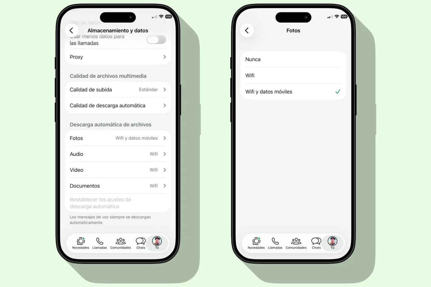 Optimiza tu consumo de datos móviles en whatsapp con ajustes clave